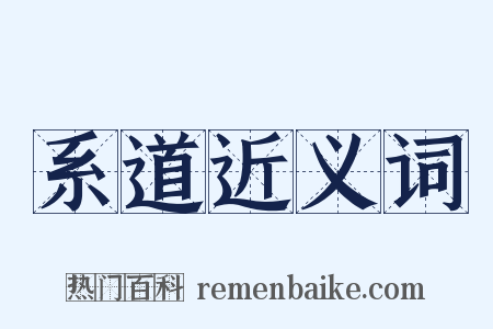 系道近义词是什么意思的图片